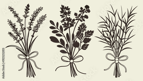 Rustic Herb Bundles Bouquet Lavender Dill Parsley Botanical Line Art for Apothecary Packaging Design