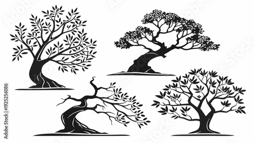 Ornate Black Silhouette Collection Of Four Stylized Ancient Olive Trees For Landscape Design Logos And Nature Graphics
