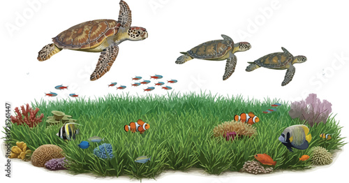 A colorful illustration of sea turtles swimming above a vibrant ocean grass bed with fish and coral
