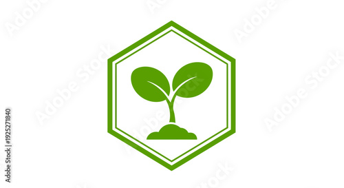 Green Sprout Growing in Hexagon Frame, Symbolizing Growth and Sustainability