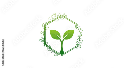 Green sprout growing inside a hexagonal frame with leaves, symbolizing growth and nature