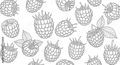 Black and white illustration of raspberries pattern.