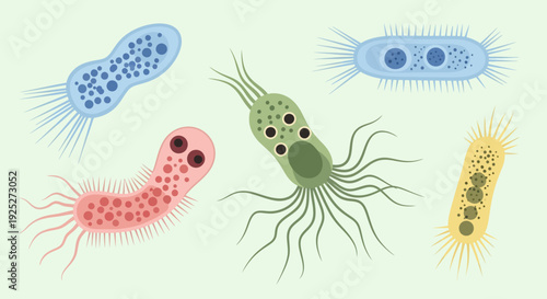 Colorful illustration of various bacteria and microorganisms.