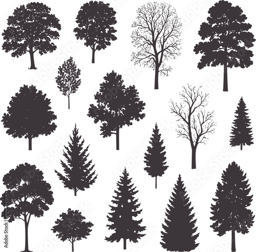 Collection of diverse dark grey tree silhouettes white