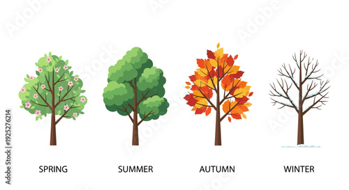 Four Seasons Tree: Spring, Summer, Autumn, Winter Cycle
