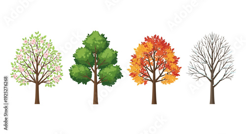 Four Seasons Trees: Spring Blossom, Summer Green, Autumn Foliage, Winter Bare