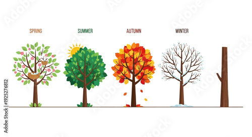 Four Seasons Tree: Spring, Summer, Autumn, Winter, and a bare trunk