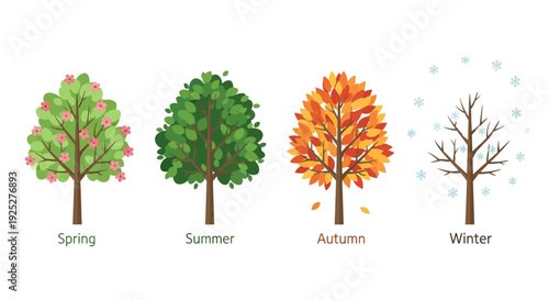 Four Seasons Trees: Spring, Summer, Autumn, Winter - Nature's Cycle
