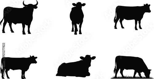 Black vector silhouette set of diverse cows and a bull in various poses including standing grazing and lying down for dairy farm and livestock branding
