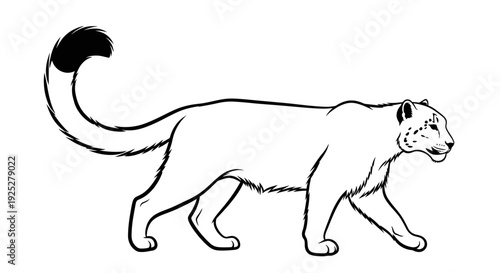 Black and White Illustration of a Lion.