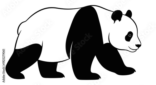 Black and White Panda Bear Illustration.