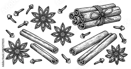 Cinnamon sticks star anise and cloves in engraving style