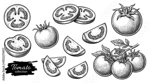 Tomato fruit and slices in vintage engraving style