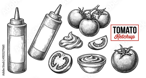 Tomato ketchup and sauce set in vintage engraving style