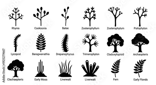 Collection of Silhouetted Prehistoric Plant Species.