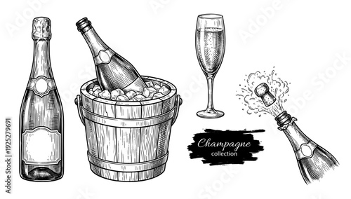Champagne bottle bucket and glass in vintage engraving style