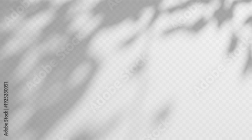 Abstract dappled light shadow overlay from tree foliage on a transparent background.