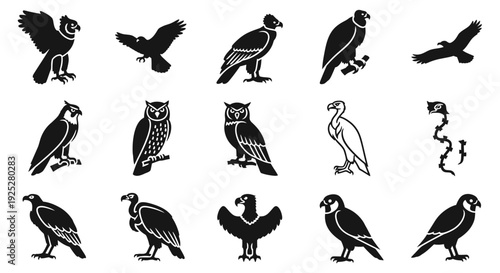 Collection of Various Bird Silhouettes Flying Standing.