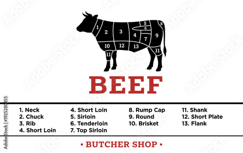 Beef meat cuts chart infographic with cow silhouette
