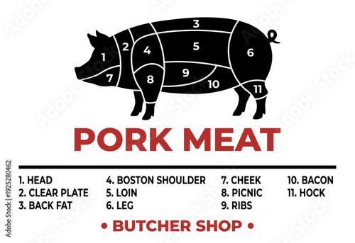 Pork meat cuts chart infographic with pig silhouette