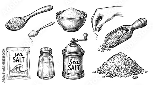 Sea salt collection in vintage engraving style