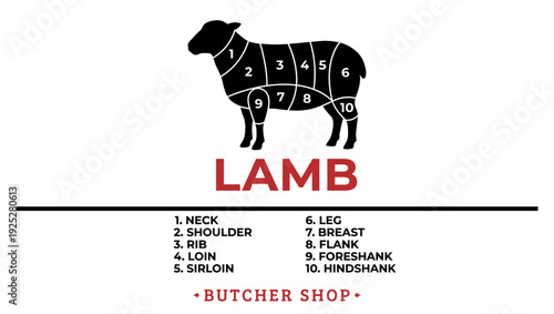 Lamb meat cuts chart infographic with sheep silhouette