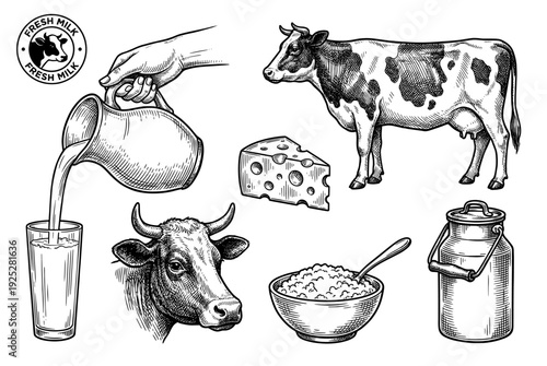 Fresh milk and dairy farm collection in vintage engraving style