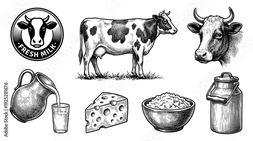 Fresh milk and dairy farm collection in vintage engraving style