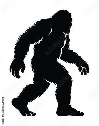 Vector silhouette of bigfoot walking on a plain  in a dynamic pose