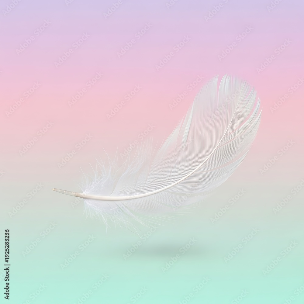 Obraz premium Soft white feather on pastel background.