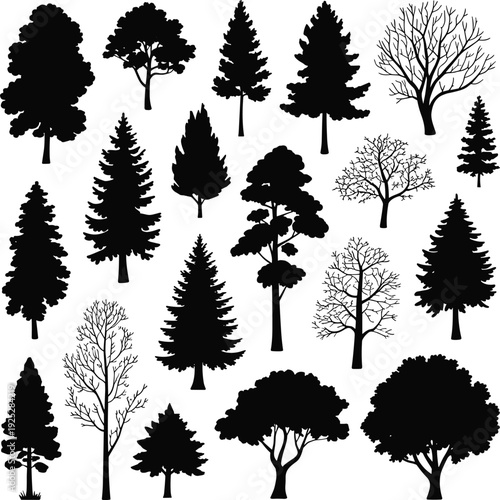 Diverse Collection of Tree Silhouettes Including Pine Spruce and Deciduous Forest Elements for Nature Landscape Design flavector Adobe Stock Vector s  
