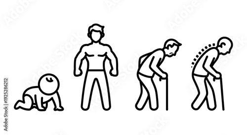 Human Life Stages from Birth to Old Age.