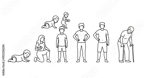 Human Life Stages from Infancy to Old Age.