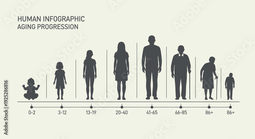Human Silhouettes Aging Progression Infographic Elements.