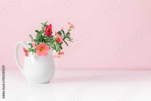 Beautiful pink Calibrachoa flowers in a white ceramic jug on a soft pink background. Minimalist floral composition with copy space for text. Elegant spring or summer still life for greeting cards.