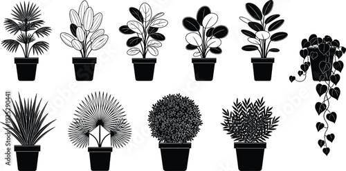 Black vector silhouette set of ten diverse potted indoor house plants including succulents palms rubber trees and hanging vines for home decor and interior branding
