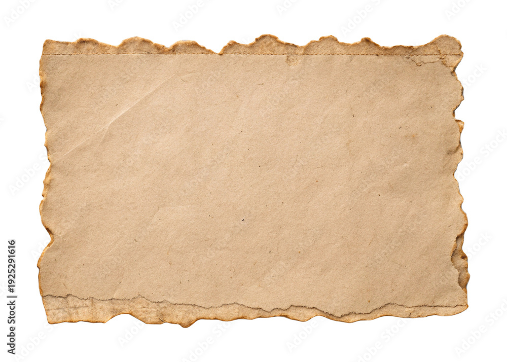 Fototapeta premium Blank Torn Edge Paper Sheet Rustic Texture Isolated on Transparent Background