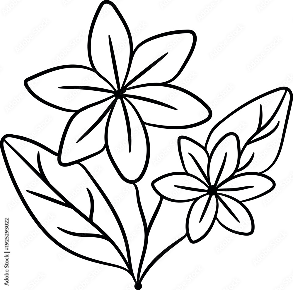 Obraz premium Minimal Floral Line Art Illustration