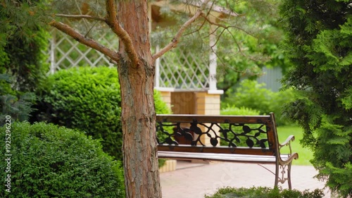 Peaceful garden bench under pine tree, lush green shrubs and cozy backyard landscape, tranquil summer day in private yard
