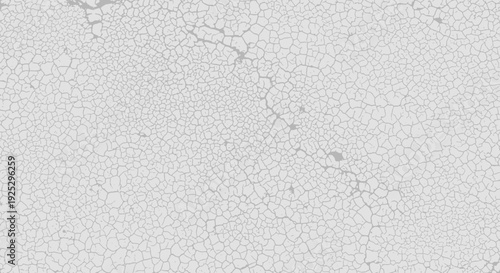 Wallpaper Mural cracked white texture, abstract background, weathered surface, grunge effect Torontodigital.ca