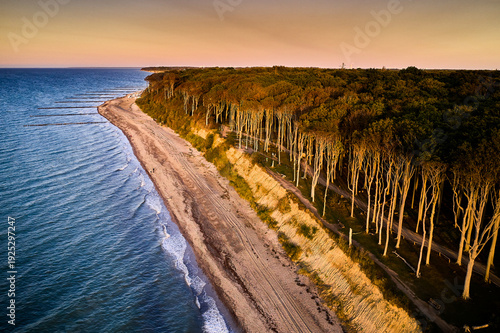 Aerial View of Nienhagen's Ghost Forest at Sunset