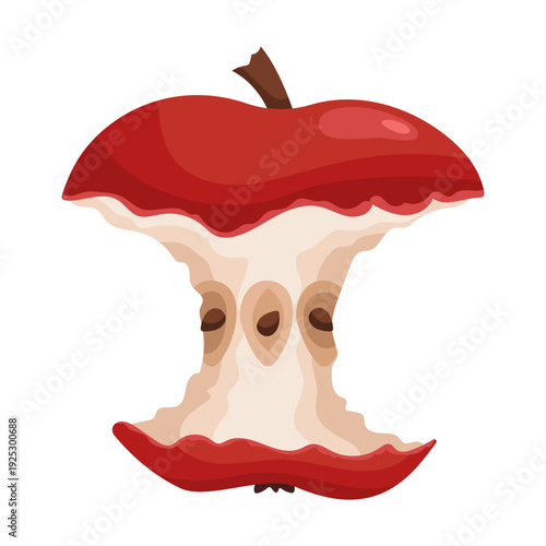 Apple core. Eaten red apple leftover with visible seeds, natural organic fruit concept, healthy snack remains. Realistic vector illustration isolated on white background.