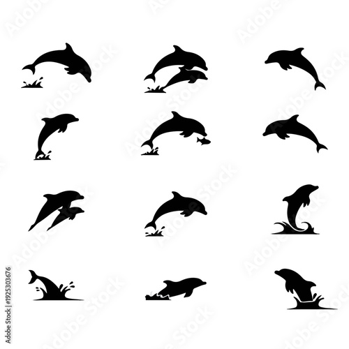 dolphin silhouette