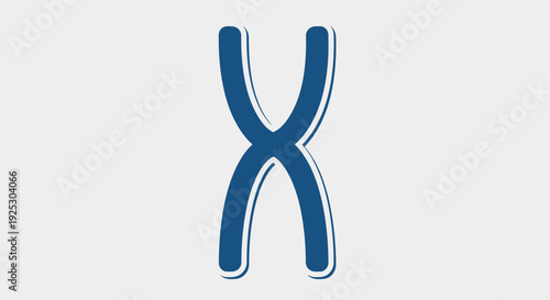 Chromosome X illustration viewed from front in scientific context with genetic information