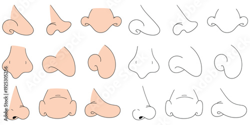 Hand-drawn cartoon and doodle set of human noses on a white background.