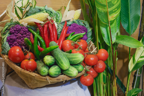 A vegetable basket filled with fresh, colorful produce straight from the garden, cucumber, tomatoes, purple cabbage, and peppers, perfect for healthy cooking and natural nutrition.
