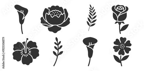 Floral flower silhouette icon set vector, botanical blossom rose peony and leaf elements isolated on transparent background