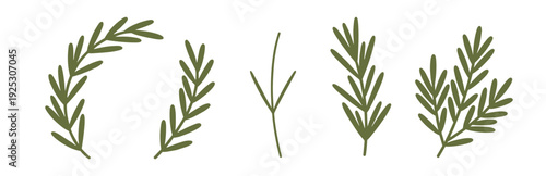 Rosemary herb icon set vector, green botanical branch sprig and leaf elements isolated on transparent background