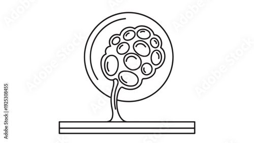 Stem Cell Colony Culture In Petri Dish Icon Representing Biomedical Research Funding And Biotechnology Investment Strategy