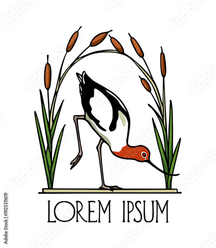 Vector card with hand drawn graceful American Avocet in a cattail arch. Beautiful animal design elements, ink drawing, logo template